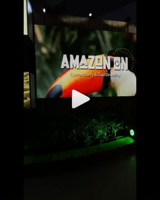 Grupo Tomaselli - Amazon On
